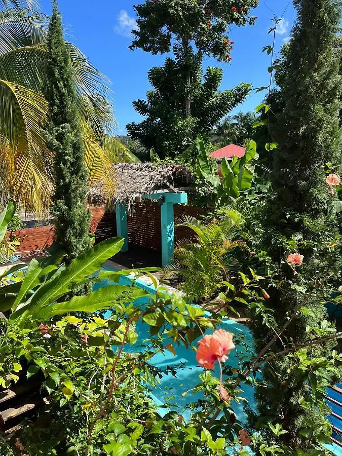 מלון Hidden Gem @ White River Ocho Rios - Secluded Retreat For Two בית הארחה