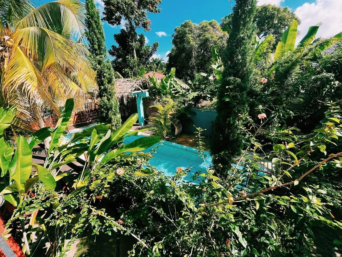 Hidden Gem @ White River Ocho Rios - Secluded Retreat For Two location